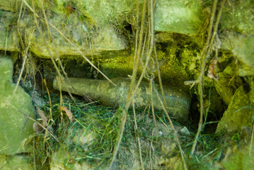 Obraz premium An old bottle in a niche of stones.
