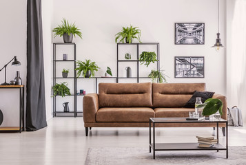 Table in front of brown sofa in white living room interior with plants and posters. Real photo