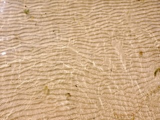 River yellow sand, lying in waves at the bottom of the river
