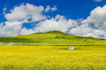 Paysage du nord de la France