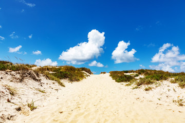 Dune beach at Costa Nova in Portugal