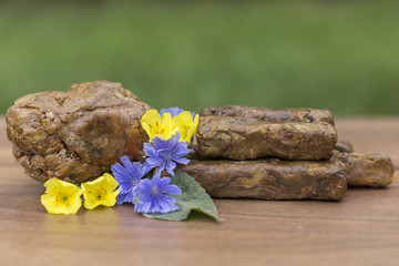 The bee propolis on the table is shaped into cubes. Bee Propolis is formed into cubes on a green background