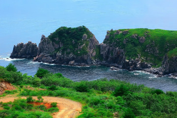 high seashore greenery of the cliff