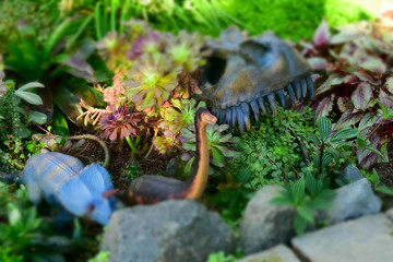 Dinosaurs toys on the garden whit a tyrannosaurs head  fossil 