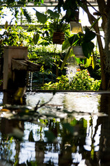 Reflecting pool on the garden 