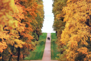 October landscape / autumn in the park, yellow October trees, alley in the autumn landscape