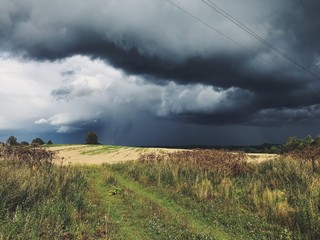 Fototapeta premium Picturesque summertime landscape of rural nature in Russia. Thunder without rain. Stormy weather. Fields of gold rye under dark heavy sky. Film effect.