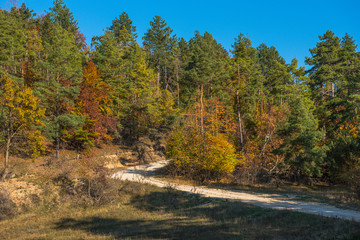 Fototapeta na wymiar Colorful autumn landscape