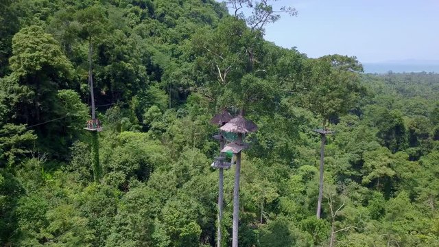 Aerial View of Tourists Riding on Zipline or Canopy Rope. Adrenaline Adventure on Vacation