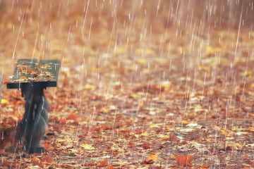 autumn rain background / bench in the park under the autumn rain, walk in cold weather, bad weather in the yellow October park, autumn landscape without people