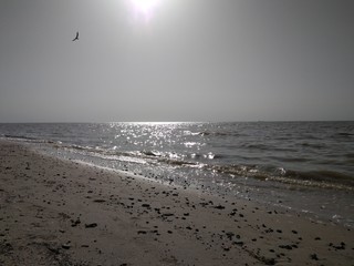 Азовское море