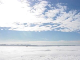 winter forest and field