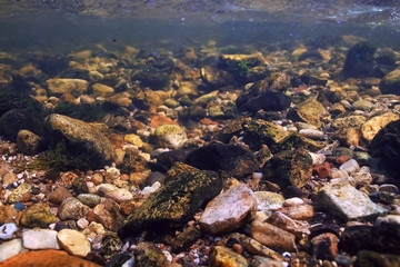underwater mountain clear river / underwater photo in a freshwater river, fast current, air bubbles by water, underwater ecosystem landscape