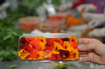 fresh flower salad in a bowl