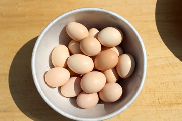 Freshly laid pink eggs close up. organic bio food