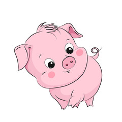 Cute little pig. Cartoon vector character