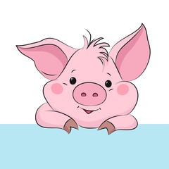 Obraz na płótnie Canvas Cute little pig. Cartoon vector character