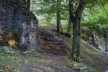 Fragment of the Wlen Castle. The staircase leading to the castle