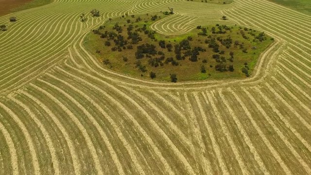 Harvestor bilder – Bläddra bland 238 stockfoton, vektorer och videor ...