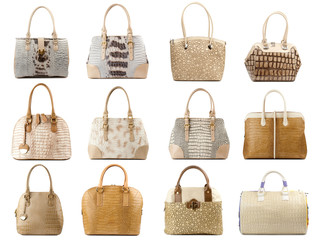 Handbags collection isolated on white background.Front view.
