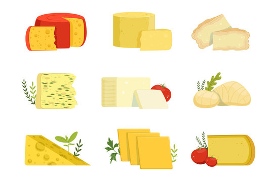 Different types of cheese pieces, popular kind of cheese vector Illustrations
