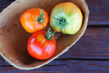 On the farm organic vegetables are grown. Fresh organic tomatoes in the basket are birch bark....