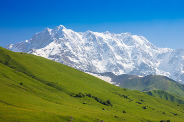 Fototapeta na wymiar green slope and Shkhara mountain with snowy peak
