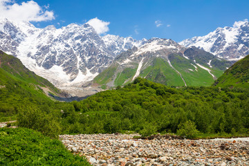 Fototapeta na wymiar panorama of mountain, forest and river in stone