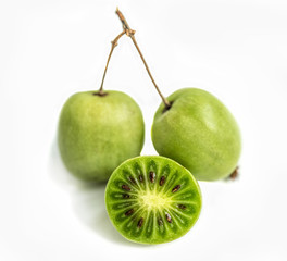 Isolate of Actinidia fruit of the far East on a white background.