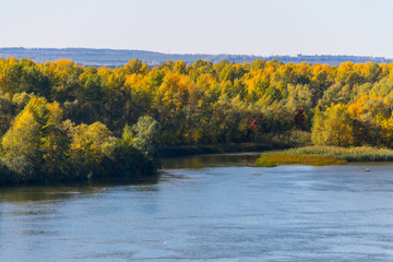 Colorful autumn trees on the riverfront.