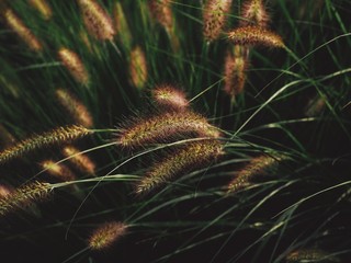 Processed with VSCO with av4 preset © Gabriela