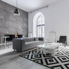 Loft apartment with gray sofa