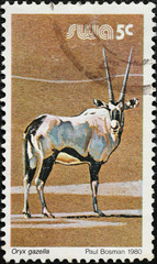 Antelope Gemsbok on south african postage stamp