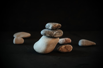 sea stones and seashells on a black background
