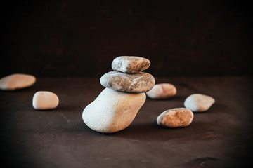 sea stones and seashells on a black background