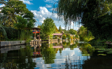 Fototapete bei efototapeten.de bestellen   