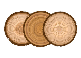 three texture of sawn wood brown object tree