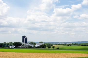 Fototapeta na wymiar Alfalfa Farmland of Rural America