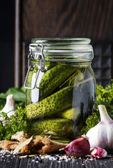 Homemade marinated or pickled cucumbers with dill, garlic and spices in big glass jar on rustic...
