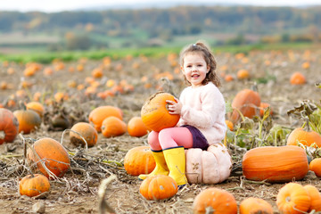 Adorable little kid girl having fun on pumpkin patch farm. Traditional family festival with children, thanksgiving and halloween concept. Cute child farmer sitting on huge pumpkin and smiling