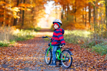Little kid boy in colorful warm clothes in autumn forest park driving a bicycle. Active child cycling on sunny fall day in nature. Safety, sports, leisure with kids concept