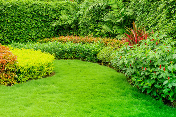 Green lawn, The front lawn for background, Garden landscape design.