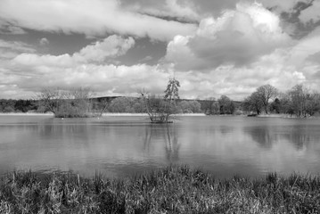 Fototapeta premium See und Wolken s-w