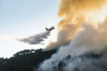 Aerial firefighting with Canadair plane on a big wildfire.
Firemen on a water bomber aircraft fighting flames in forest.