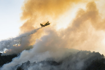 Aerial firefighting with Canadair plane on a big wildfire.
Firemen on a water bomber aircraft fighting flames in forest. - 221412433