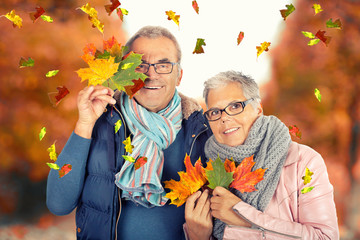 lustiger Herbstspaziergang
