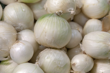 Heap of fresh ripe white onion without husk.