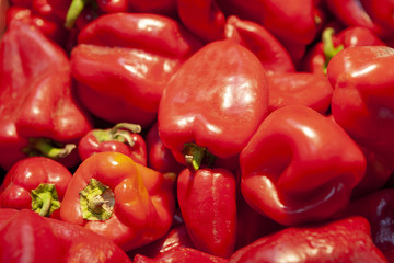 Heap of fresh ripe red pepper with branches.