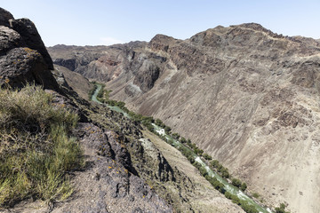 Charyn River flows within the Charyn Canyon and provides a fertile shore with its water. The canyon is also called valley of castles and is located east of Almaty in Kazakhstan.