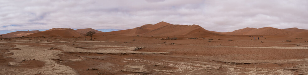 Fototapeta na wymiar Sossusvlei Namib Desert, in the Namib-Naukluft National Park